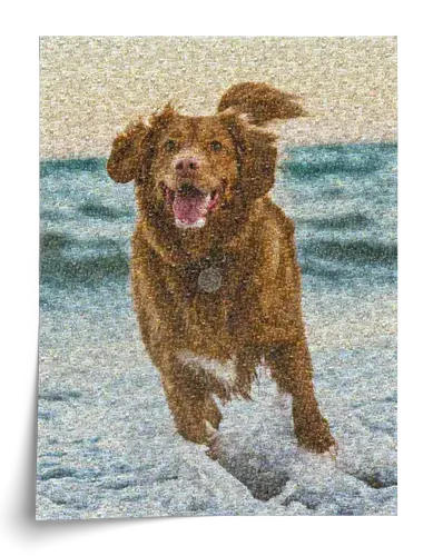 Individuelles Fotomosaik Hundeportrait