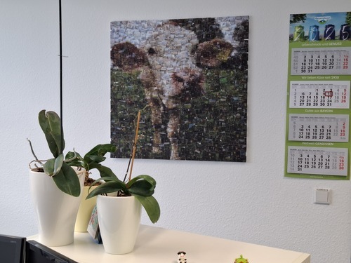 Kundenfoto von sarah für Bewertung Fotomosaik [Software] als Download